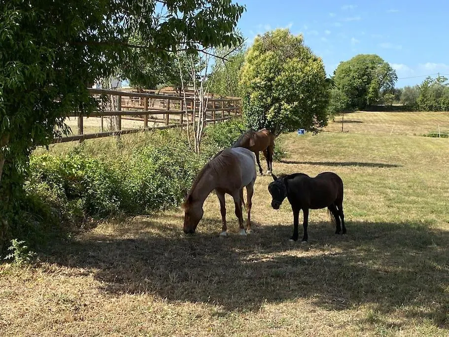 La Bastide De Jean Maison De Charme Dans Un Domaine Equestre Prive Grasse