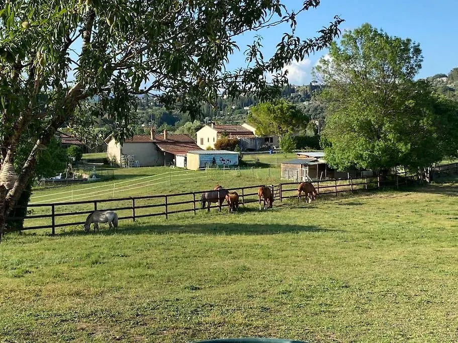 La Bastide De Jean Maison De Charme Dans Un Domaine Equestre Prive Grasse 0*,